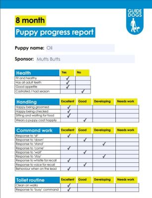 oli report card