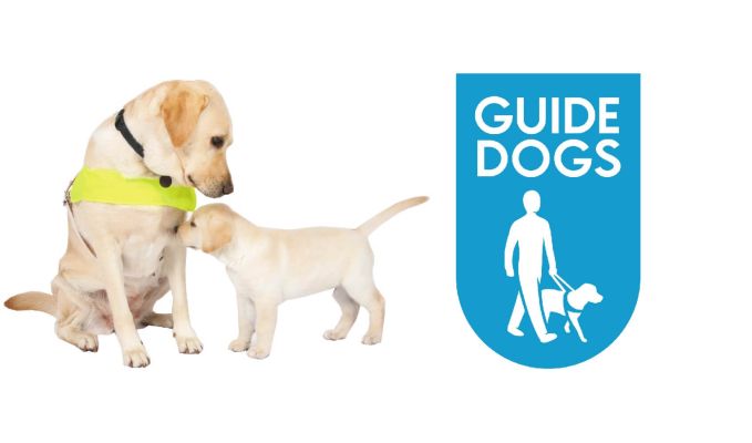 Two guide dogs next to the Guide Dogs logo
